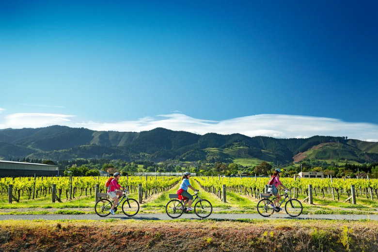 Biking the vines in the Nelson and Tasman wine region.