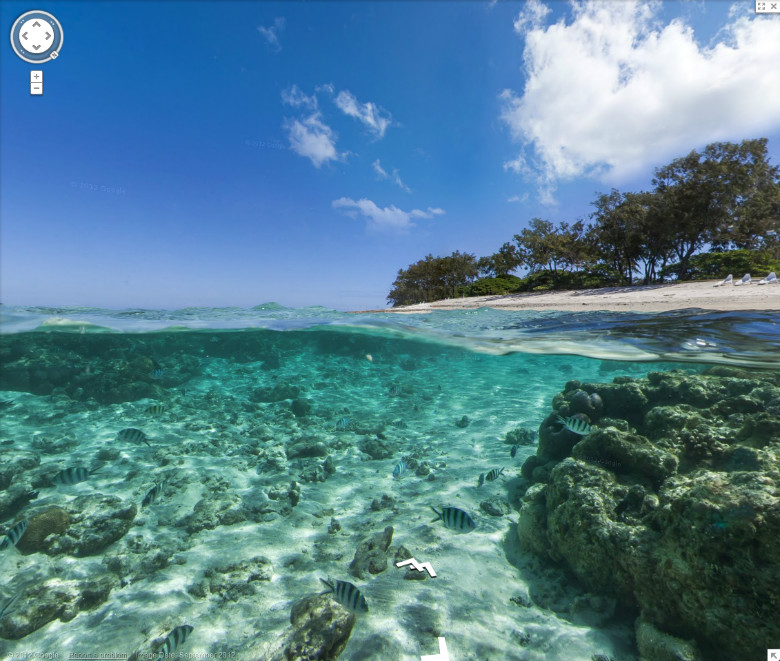 Lady Elliot Island Great Barrier Reef - Underwater