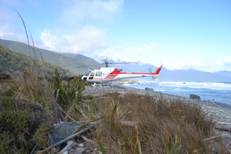 Helicopter landing on West coast beach near Milford Sound