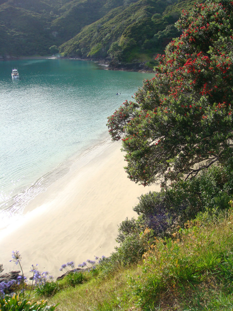 Oke Bay has to be one of the top beaches in New Zealand 