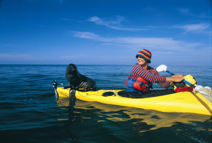 Kayaking with a fur seal