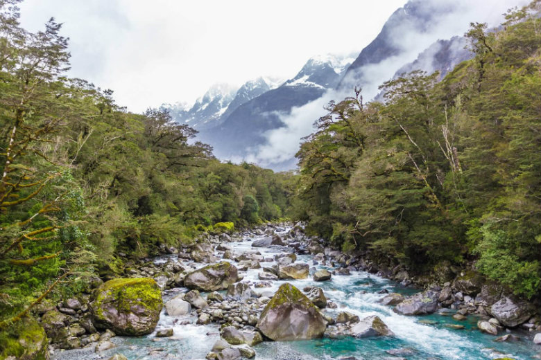 The surreal beauty of Fiordland National Park on your back doorstep