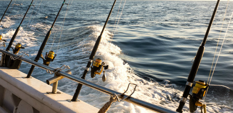 With its prolific sea life a saltwater fishing charter in the Bay of Islands is a highly recommended activity in the Bay of Islands