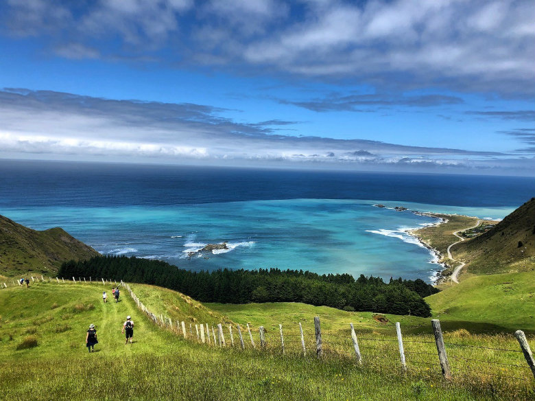 Tora Coastal Walk, New Zealand