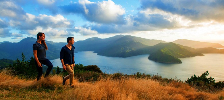 Hiking Queen Charlotte Track