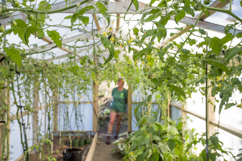 Sustainable luxury travel in New Zealand with Hapuku Lodge & Tree Houses