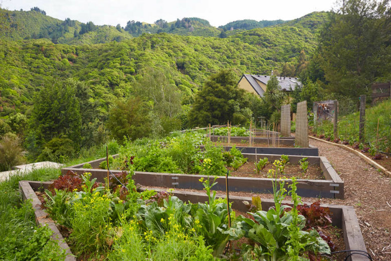 The Vege-garden at Resurgence Eco Lodge, creating sustainable luxury New Zealand accommodation