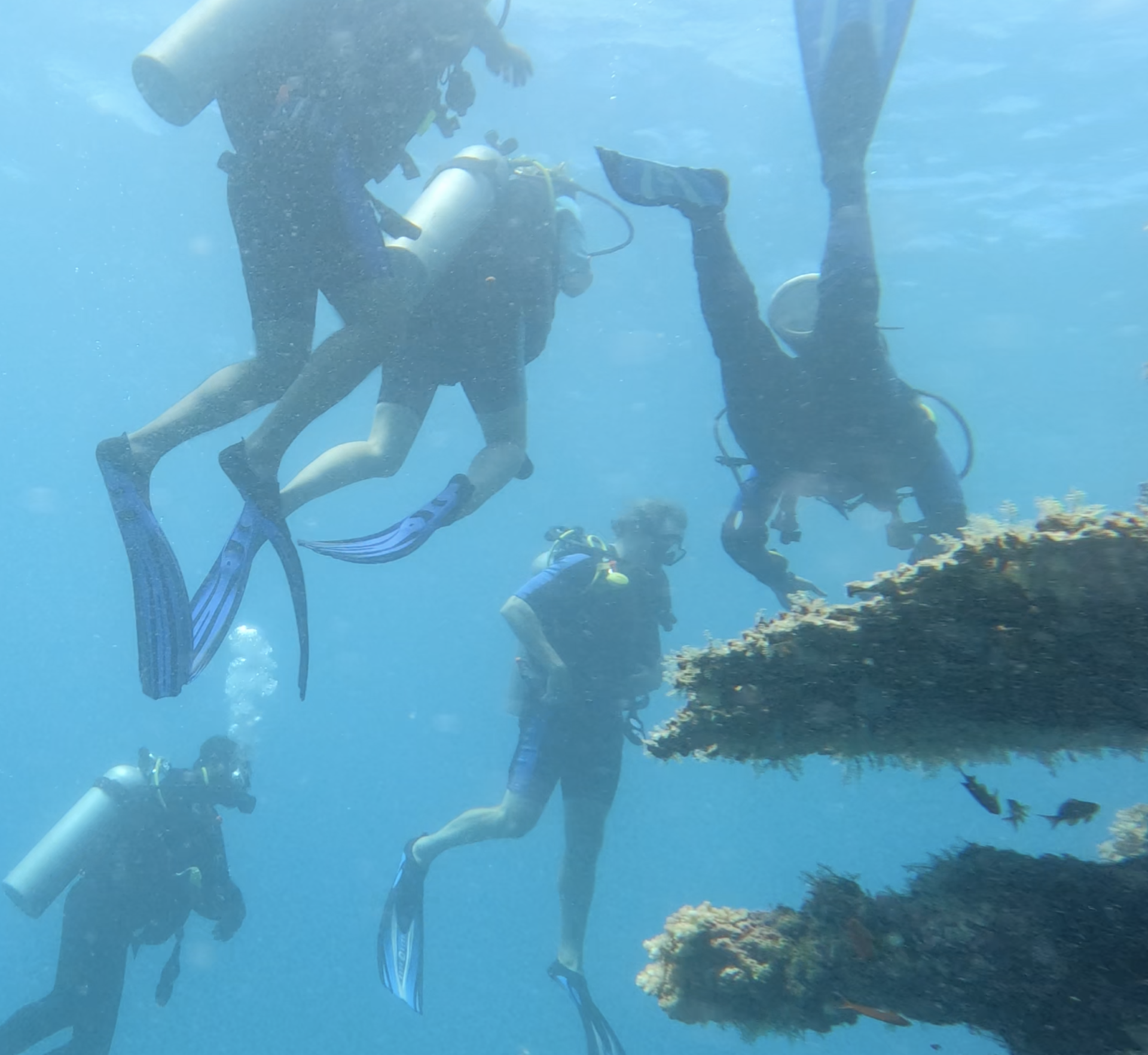 A pic of us scuba diving in Savusavu Fiji whilst staying at Jean-Michel Cousteau Resort
